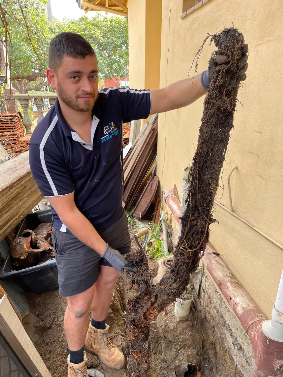 Pacer plumber holding a mass of tree roots removed from a drain, standing beside an excavated trench